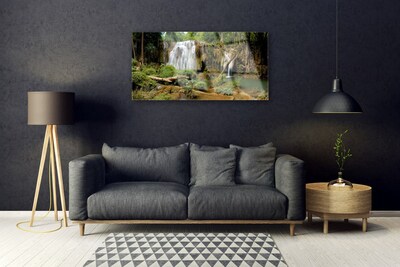 Quadro in vetro Cascata Fiume Foresta Natura