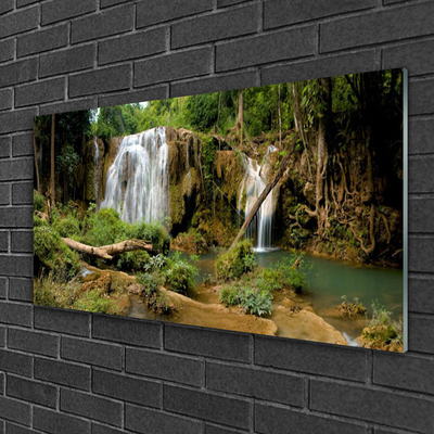 Quadro in vetro Cascata Fiume Foresta Natura