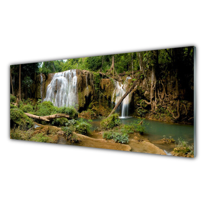 Quadro in vetro Cascata Fiume Foresta Natura