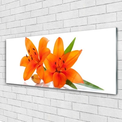 Quadro in vetro Pianta di fiori d'arancio