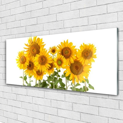 Quadro vetro Piantare i girasoli