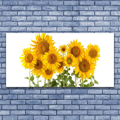 Quadro vetro Piantare i girasoli