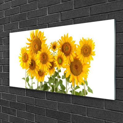 Quadro vetro Piantare i girasoli