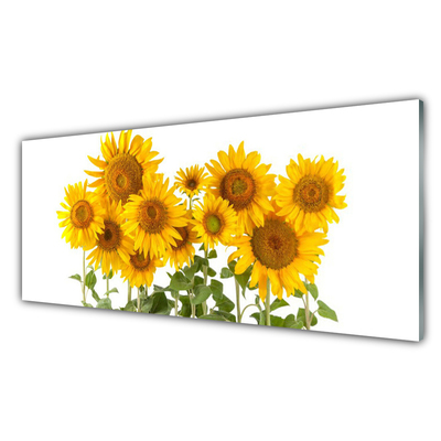 Quadro vetro Piantare i girasoli