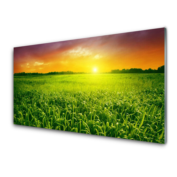 Quadro vetro Alba del campo di grano