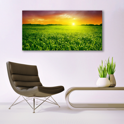 Quadro vetro Alba del campo di grano