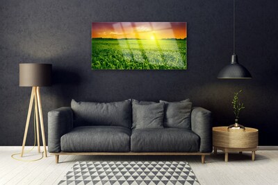 Quadro vetro Alba del campo di grano