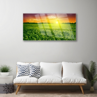 Quadro vetro Alba del campo di grano