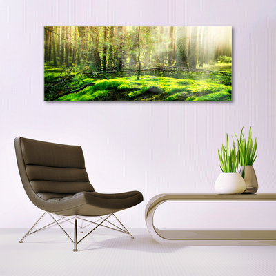 Quadro vetro Foresta di muschio Natura