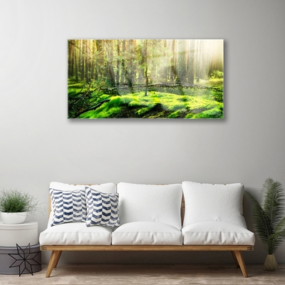 Quadro vetro Foresta di muschio Natura