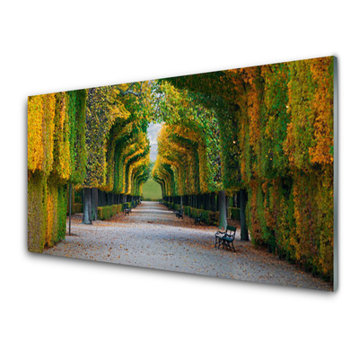 Quadro su vetro Parco Giardino Naturale d'Autunno