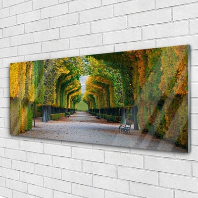 Quadro su vetro Parco Giardino Naturale d'Autunno