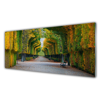 Quadro su vetro Parco Giardino Naturale d'Autunno