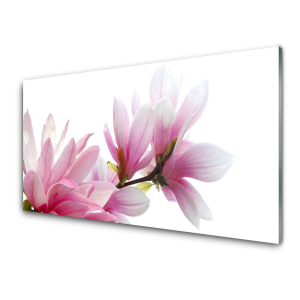 Quadro in vetro Fiore di magnolia