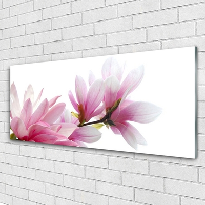 Quadro in vetro Fiore di magnolia