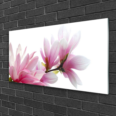 Quadro in vetro Fiore di magnolia