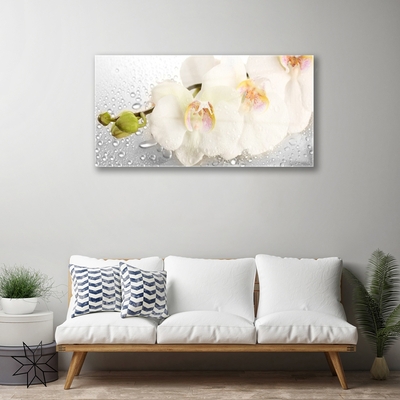 Quadro vetro Fiori da parete