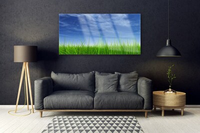 Quadro vetro Erba del cielo Pianta naturale