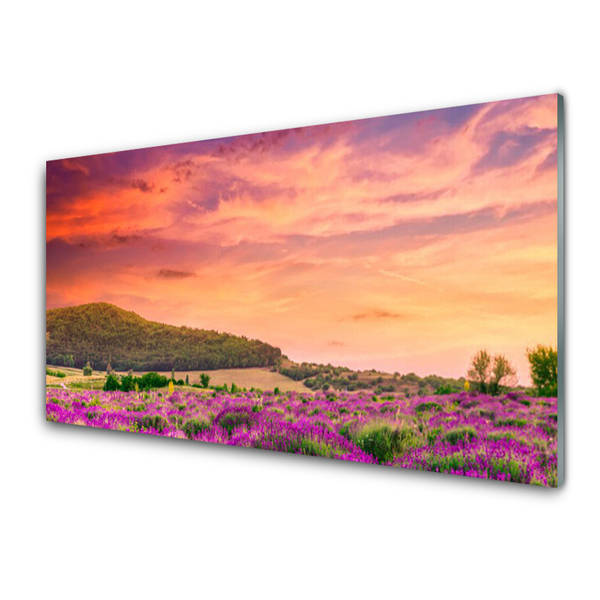 Quadro in vetro Prato Fiori Paesaggio