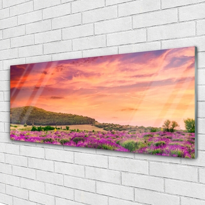 Quadro in vetro Prato Fiori Paesaggio