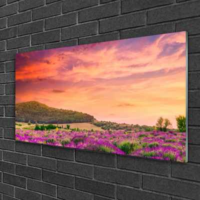 Quadro in vetro Prato Fiori Paesaggio