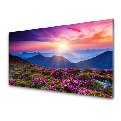 Quadro vetro Montagne Prato Fiori Paesaggio