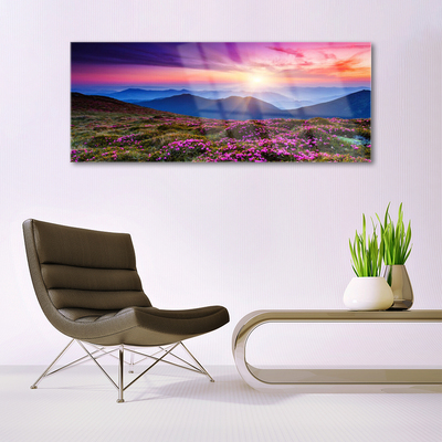 Quadro vetro Montagne Prato Fiori Paesaggio