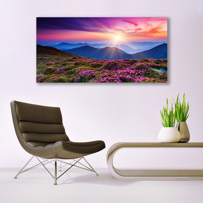 Quadro vetro Montagne Prato Fiori Paesaggio