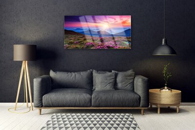 Quadro vetro Montagne Prato Fiori Paesaggio