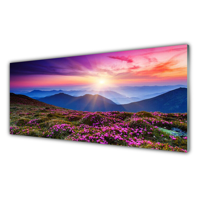 Quadro vetro Montagne Prato Fiori Paesaggio