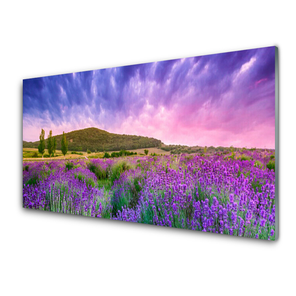 Quadro su vetro Prato Fiori Montagna Natura