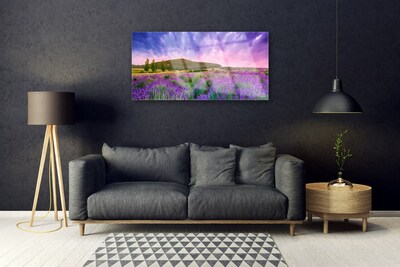 Quadro su vetro Prato Fiori Montagna Natura