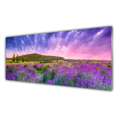 Quadro su vetro Prato Fiori Montagna Natura