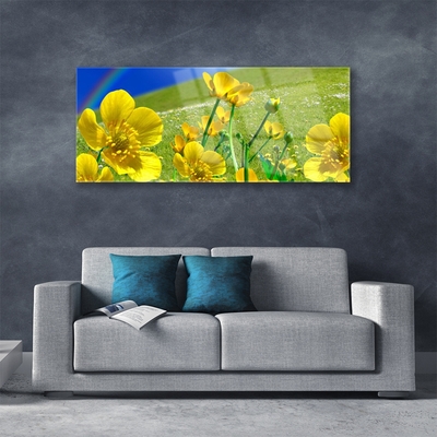 Quadro vetro Prato Fiori Arcobaleno Natura