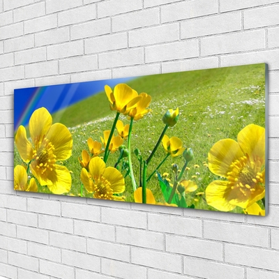 Quadro vetro Prato Fiori Arcobaleno Natura