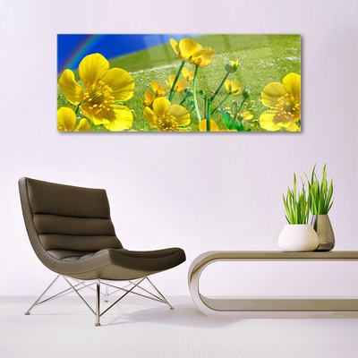 Quadro vetro Prato Fiori Arcobaleno Natura