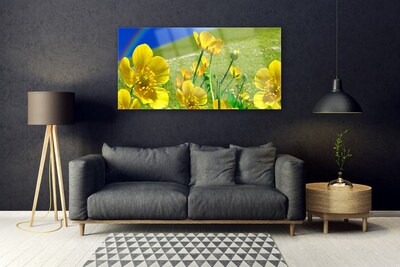 Quadro vetro Prato Fiori Arcobaleno Natura