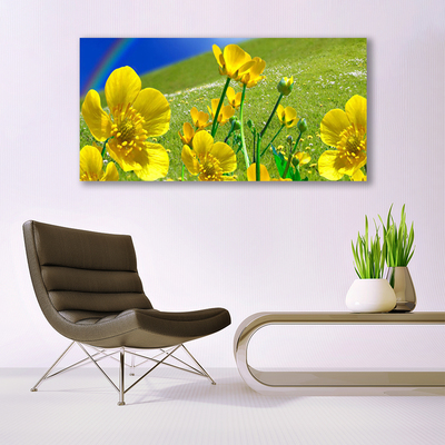 Quadro vetro Prato Fiori Arcobaleno Natura