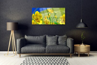 Quadro vetro Prato Fiori Arcobaleno Natura