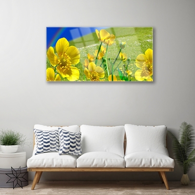 Quadro vetro Prato Fiori Arcobaleno Natura