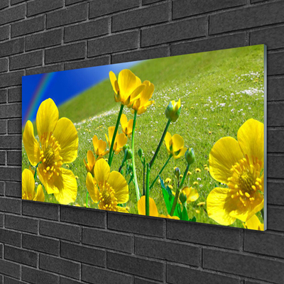 Quadro vetro Prato Fiori Arcobaleno Natura