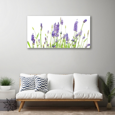 Quadro su vetro Fiori da parete