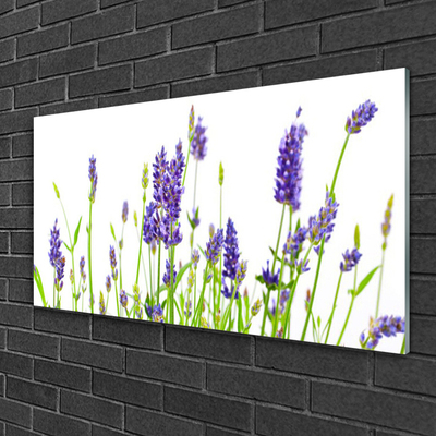 Quadro su vetro Fiori da parete