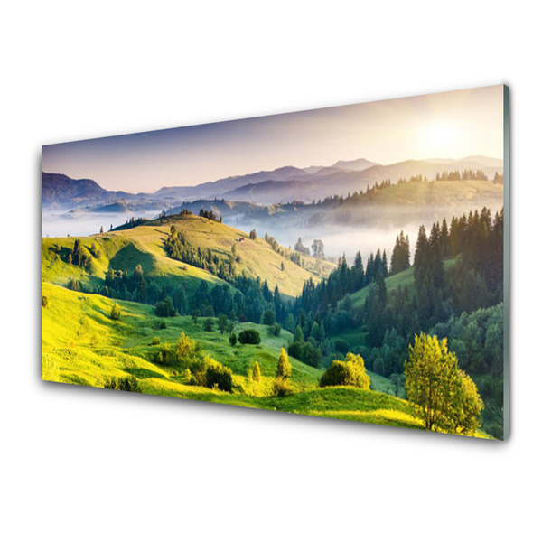 Quadro di vetro Montagna Campo Nebbia Natura