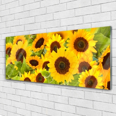 Quadro in vetro Piantare i girasoli