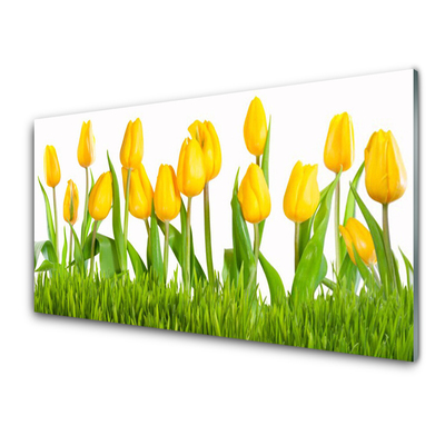 Quadro in vetro Tulipani per il muro