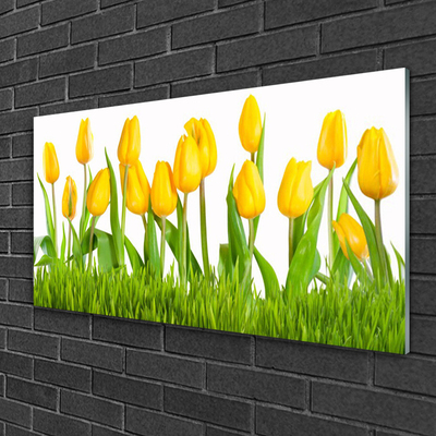 Quadro in vetro Tulipani per il muro