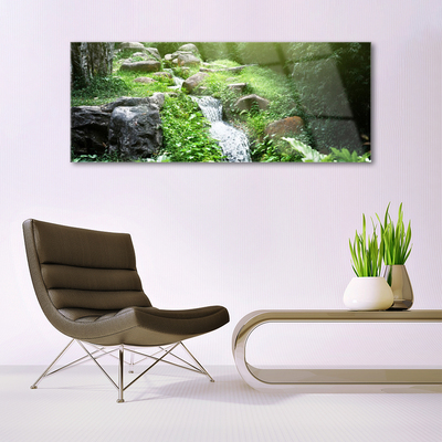 Quadro su vetro Impianto naturale di Grass Creek