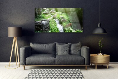 Quadro su vetro Impianto naturale di Grass Creek