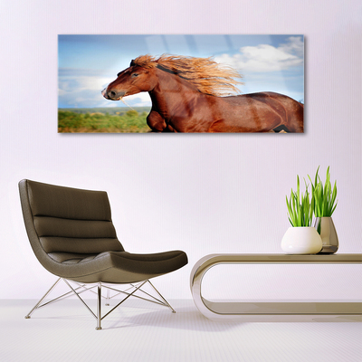 Quadro in vetro Animali da cavallo